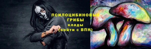 ГАЛЛЮЦИНОГЕННЫЕ ГРИБЫ Богородицк