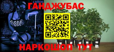 таблы Кингисепп